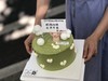 小猪举牌奶油生日蛋糕 商品缩略图0