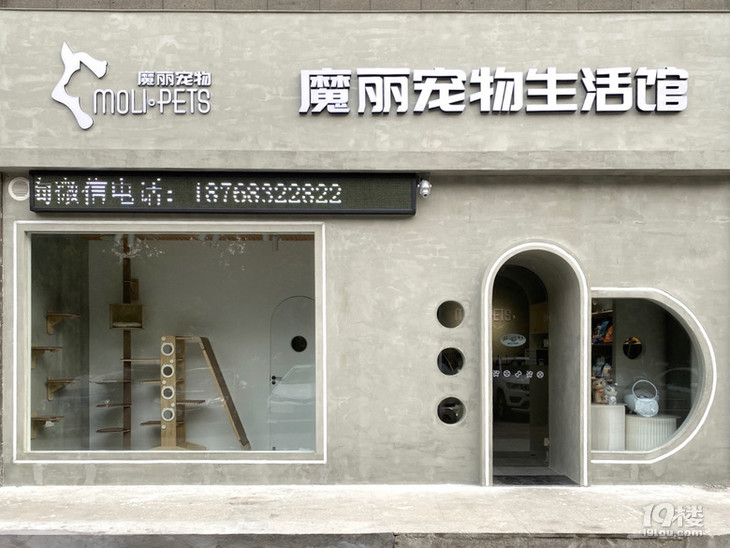 南溪西路这家宠物店开业啦!狗狗洗澡只要9.9!铲屎官们快集合!