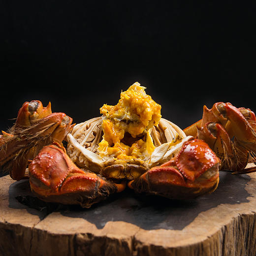 【实物】秋叶黄大闸蟹现货498型公蟹3.0两 母蟹2.0两 5对