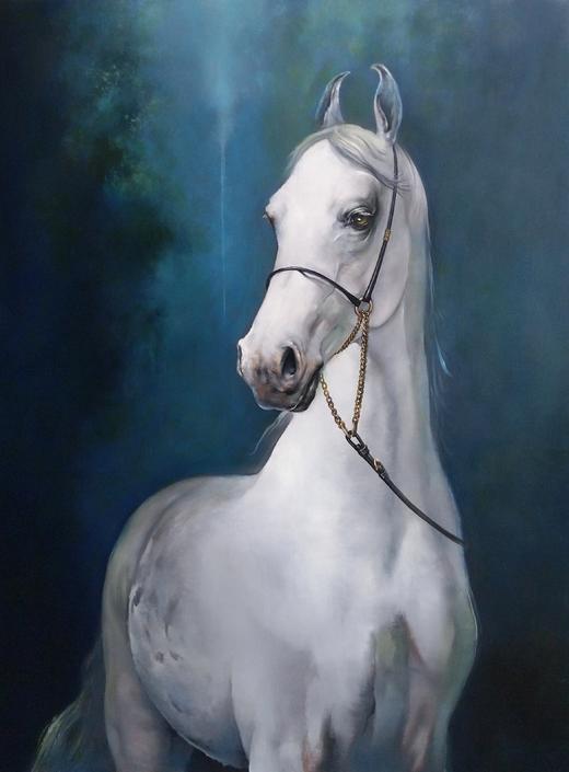 绿野仙踪 商品图0