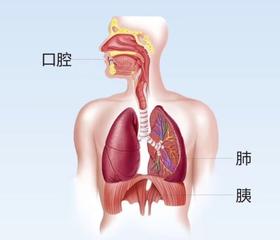  “牙齿”不好，疾病“满身”跑！ 