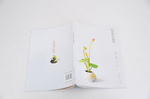 禅艺插花系列 四季禅艺插花 周建贞 花艺设计书籍 插花入门教材 插花技巧 色彩搭配 禅艺插花作品赏析 花艺培训师花店经营管理书籍 商品图3
