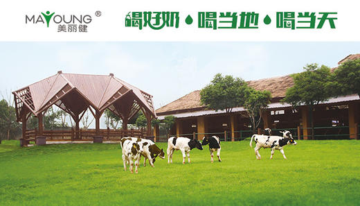 美丽健乳业 商品图0
