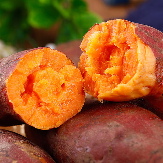 安徽阜阳龙九红薯新鲜地瓜整箱农家甜番薯糖心蜜薯净重5斤装包邮