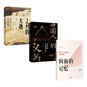 经验史三部曲 套装3册 中国人的义气+上升的大地+向前的记忆 吴天等著 社会科学中国社会文化乡村农村生活中信出版