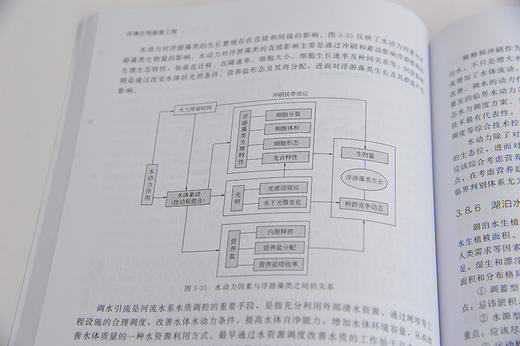 环境生物修复工程 李飞鹏 高等学校环境工程 环境科学 环境生态工程城乡规划 水利类专业教材 环境生态工程资源管理 环境保护书籍 商品图4