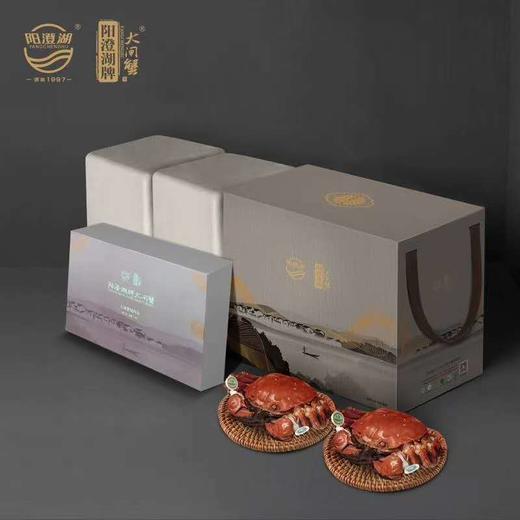 阳澄湖牌大闸蟹 商品图0