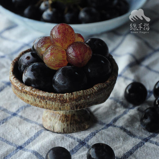 有机巨峰葡萄（深圳自提，预售） | 合作生产*Organic Kyoho grapes | Coproduction 商品图1