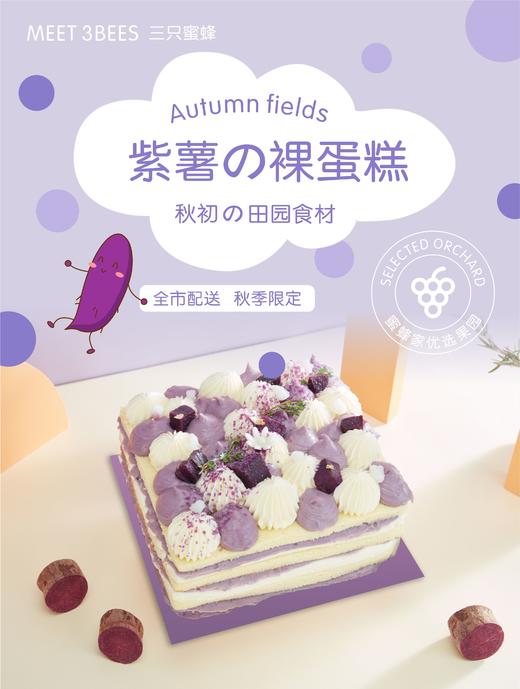 紫薯の裸蛋糕（砍价） 商品图0