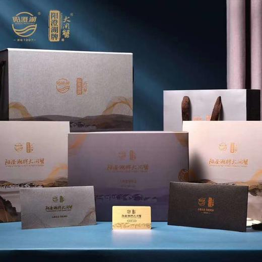 阳澄湖牌大闸蟹 商品图1