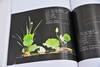 禅艺插花系列 四季禅艺插花 周建贞 花艺设计书籍 插花入门教材 插花技巧 色彩搭配 禅艺插花作品赏析 花艺培训师花店经营管理书籍 商品缩略图4