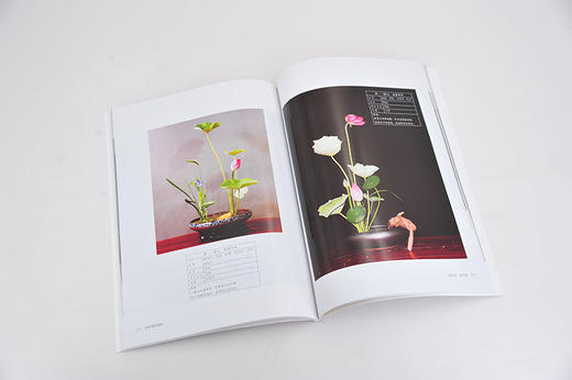 禅艺插花系列 四季禅艺插花 周建贞 花艺设计书籍 插花入门教材 插花技巧 色彩搭配 禅艺插花作品赏析 花艺培训师花店经营管理书籍 商品图2