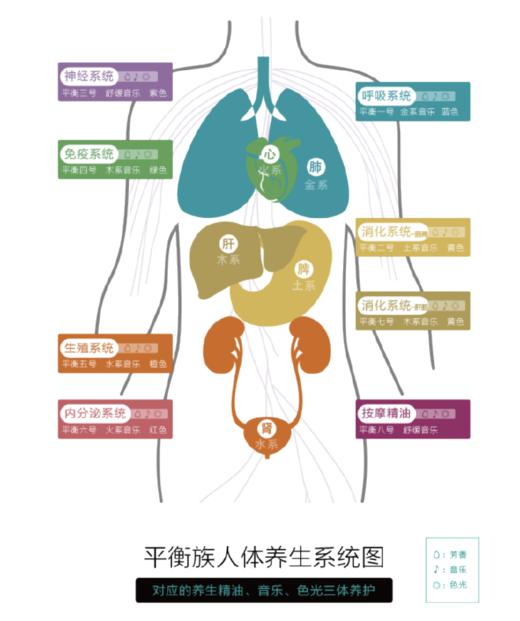 【芳疗养生精油—人体的几大系统】会员专属，课程免费听 商品图0