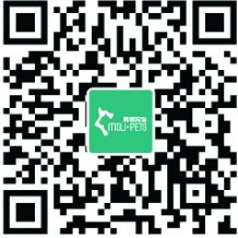南溪西路这家宠物店开业啦!狗狗洗澡只要9.9!铲屎官们快集合!