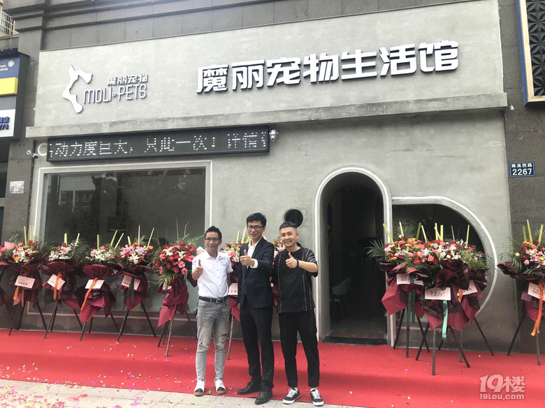 南溪西路这家宠物店开业啦!狗狗洗澡只要9.9!铲屎官们快集合!
