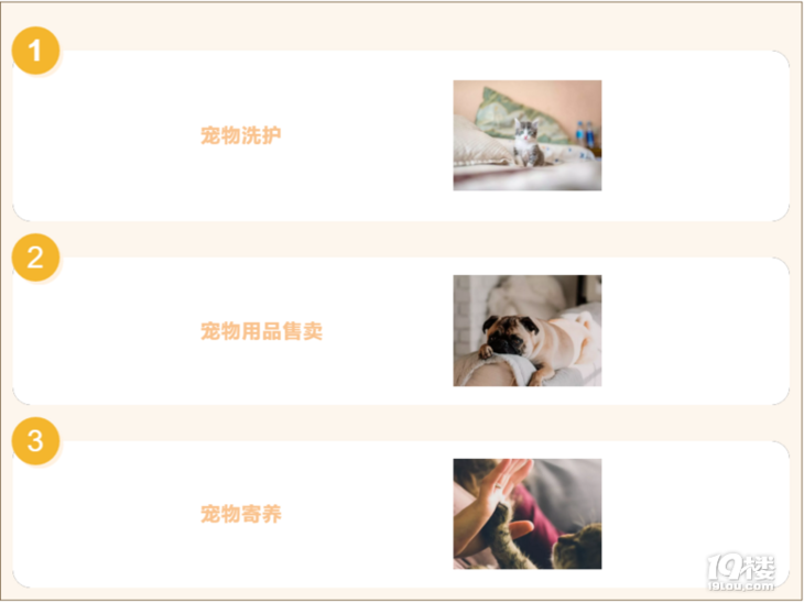 南溪西路这家宠物店开业啦!狗狗洗澡只要9.9!铲屎官们快集合!
