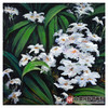 陈庆珠《茑尾花》53*72cm 油画横幅作品 餐厅/茶室/卧室挂画 商品缩略图4