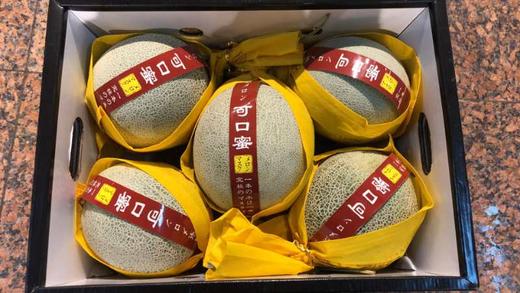 日本玫珑瓜【净重13.5斤/箱 约4-5颗】 （产地直发）名副其实的冰淇淋瓜，全是浓浓的瓜香和果汁 商品图1