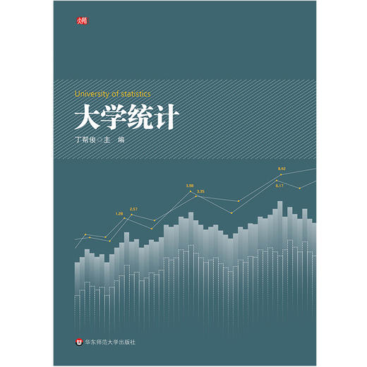 大学统计 统计分析 高等院校教材  丁帮俊主编  华东师范大学出版社 商品图0