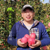 生态红富士苹果（预售） | 合作生产* Eco-Fuji apple | Coproduction 商品缩略图2