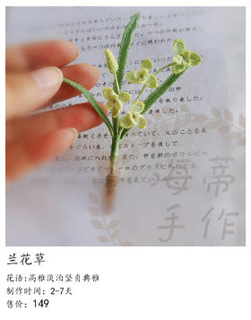 兰花草（微勾胸针）