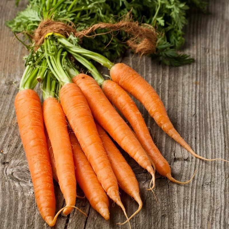 【生鲜预定】胡萝卜1kg