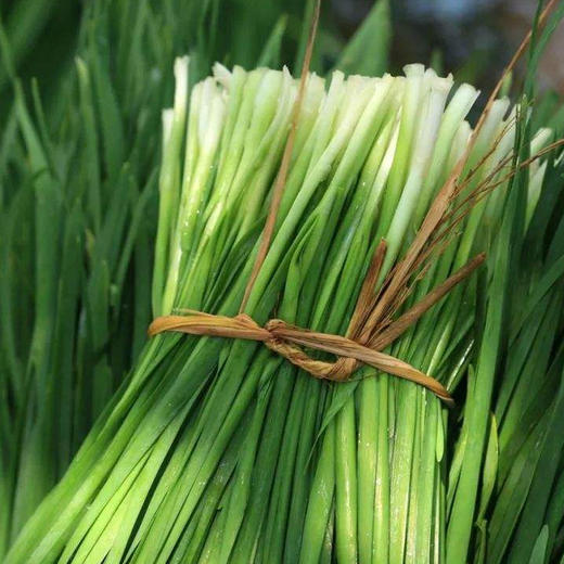 【生鲜预定】韭菜 商品图0