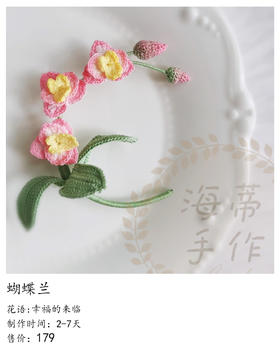 蝴蝶兰（微勾胸针）