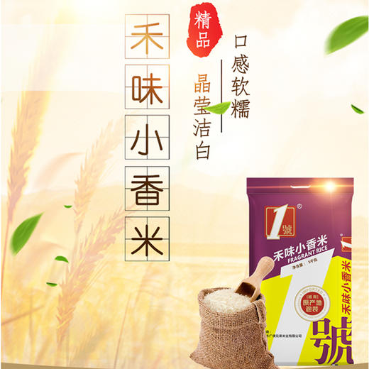 佛冈金鲜美 禾味小香米5KG 广东省内包邮 商品图1