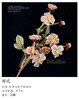 樱花（微勾胸针） 商品缩略图0