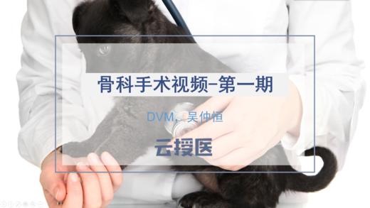 骨科手术视频课程-第一期 商品图0