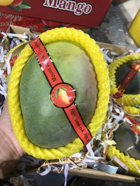 凯特芒果【 净重 约7.8斤5颗/箱】 （产地直采）果肉细腻光滑，核薄如纸