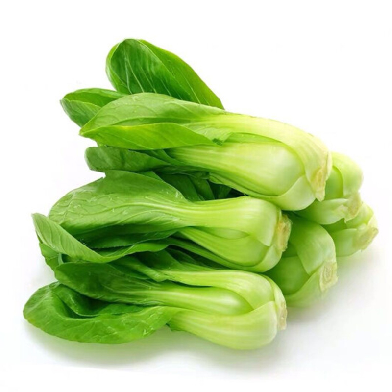 【生鲜预定】上海青 京白菜