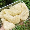 本地东试早 柚子 泡果 商品缩略图6