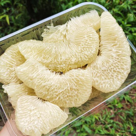 本地东试早 柚子 泡果 商品图6