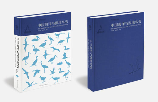 中国海洋与湿地鸟类 商品图2