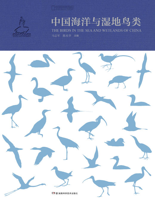 中国海洋与湿地鸟类 商品图1