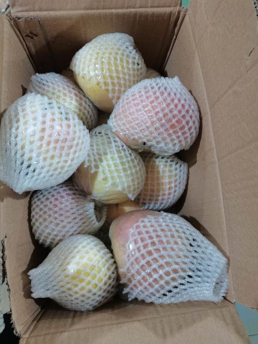 徐州大沙河苹果  10斤 商品图1