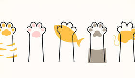  护肤小白逆袭路，今天开始健康肌！ 