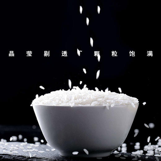 佛冈金鲜美 禾味小香米5KG 广东省内包邮 商品图2