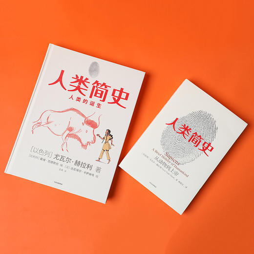 人类简史（知识漫画）：人类的诞生[尤瓦尔·赫拉利] 中信出版社 改编自全球畅销书《人类简史：从动物到上帝》 商品图9