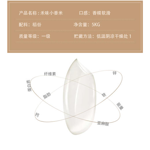 佛冈金鲜美 禾味小香米5KG 广东省内包邮 商品图3