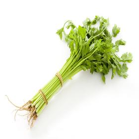 香芹250g/份