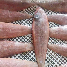  你吃的真的是龙利鱼吗？ 