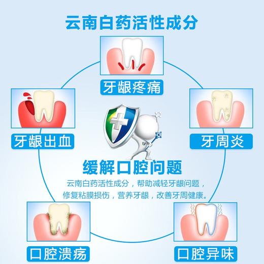 云南白药留兰香型牙膏210g 商品图1