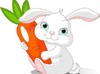 【30段日常趣味视频】--Day2-9-【rabbit】 商品缩略图0