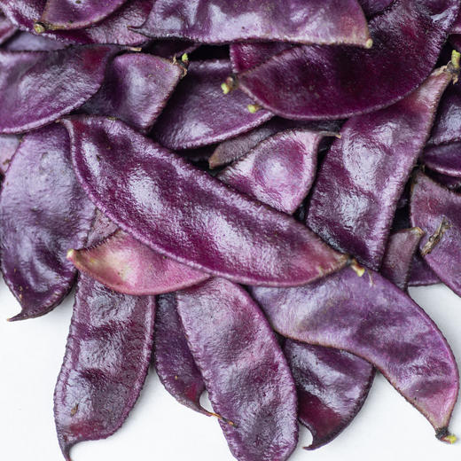 紫色扁豆 商品图0