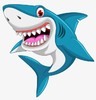 【30段日常趣味视频】--Day2-10-【shark】 商品缩略图0