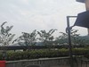 宝格丽男士香水 商品缩略图0
