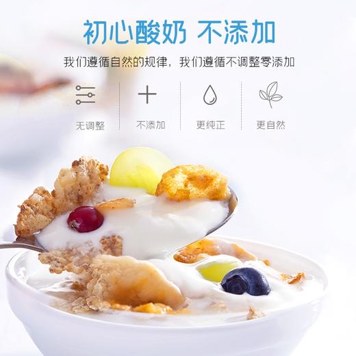 雪兰（低温）初心风味发酵乳塑瓶250g 商品图2